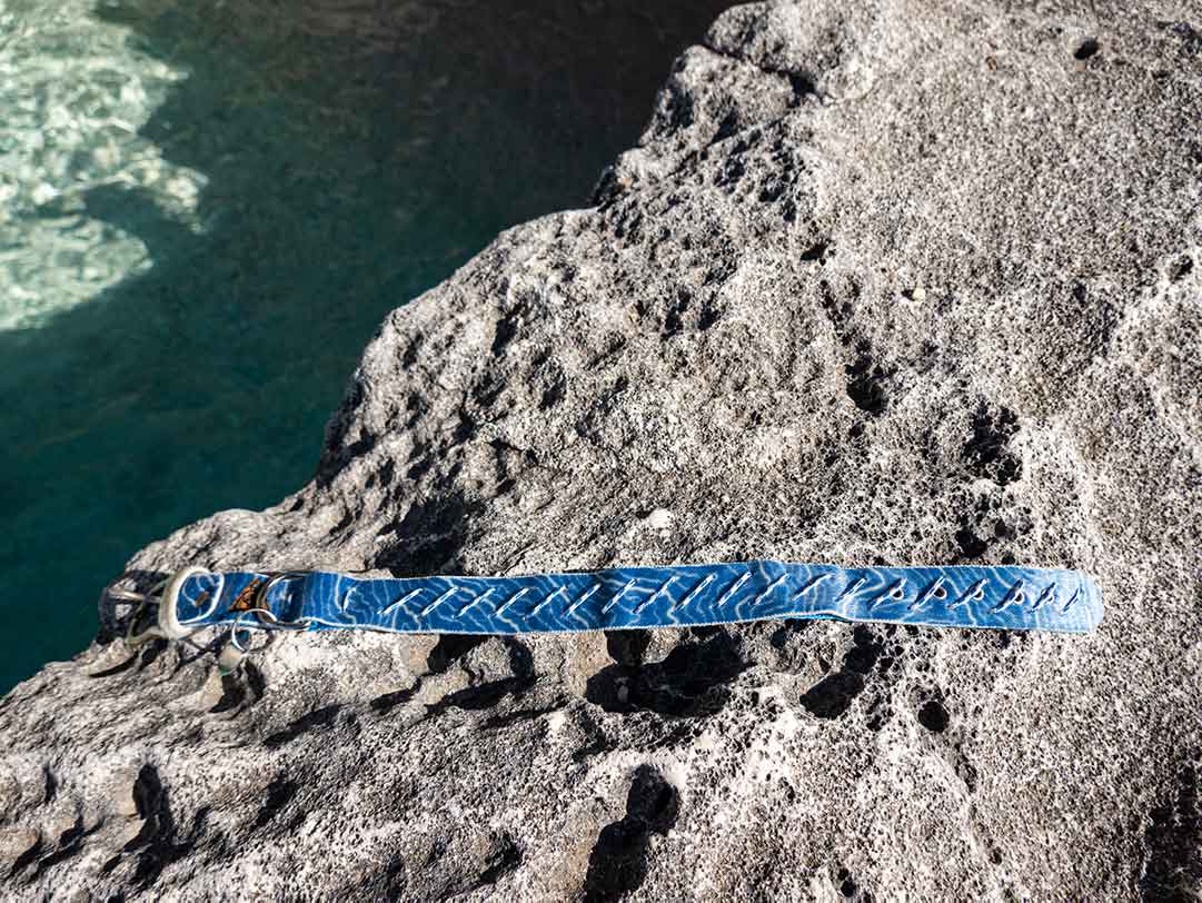 Non ti scordar di me Dog Collar