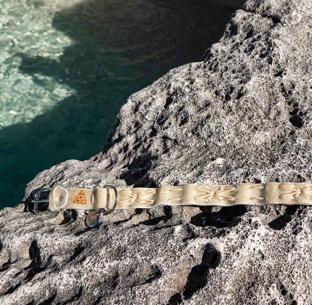 Bucaneve Dog Collar