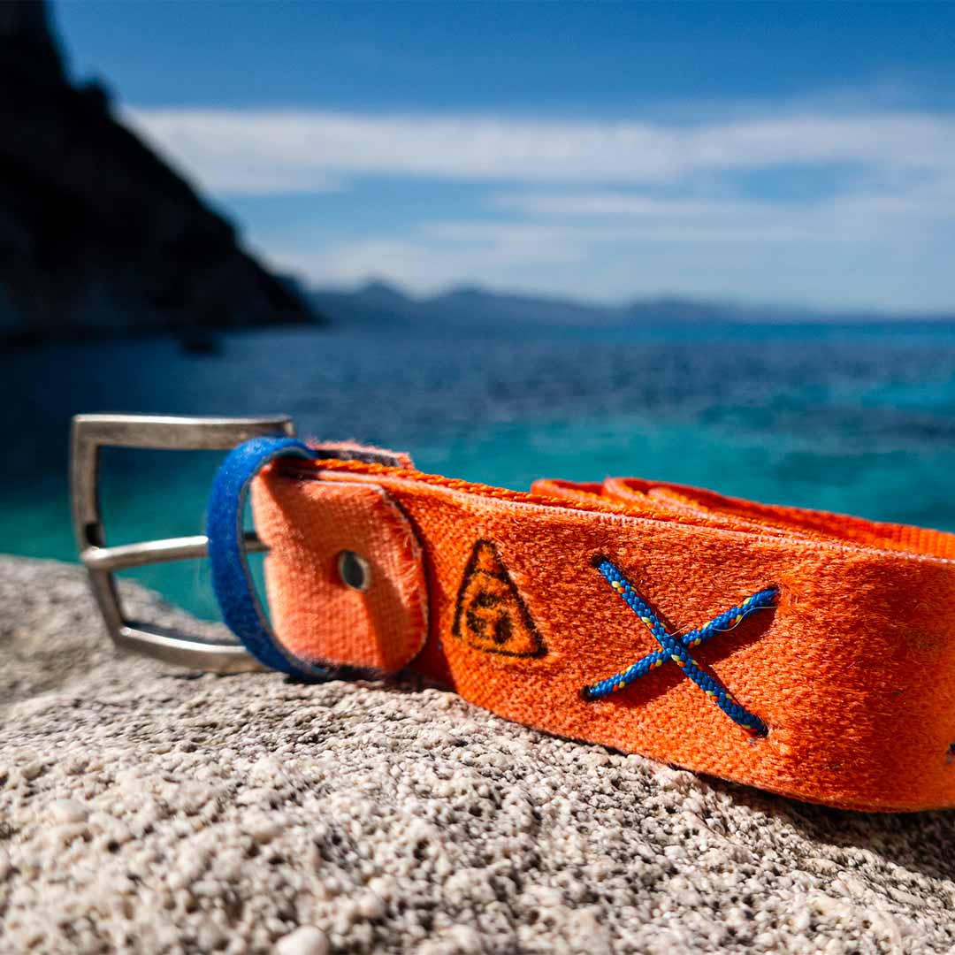 Calendula Belt