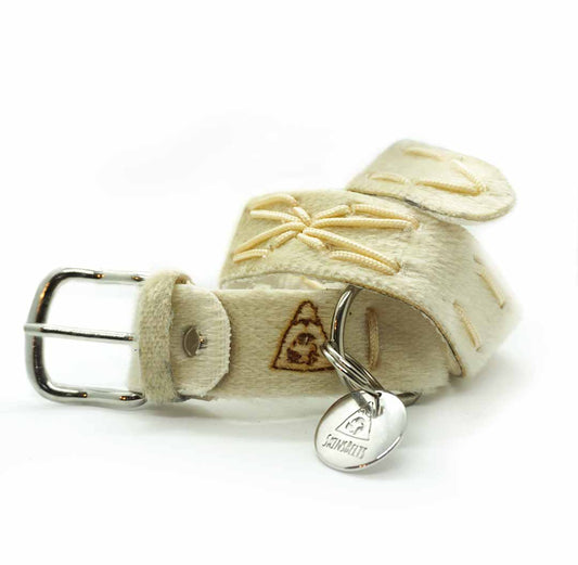 Bucaneve Dog Collar